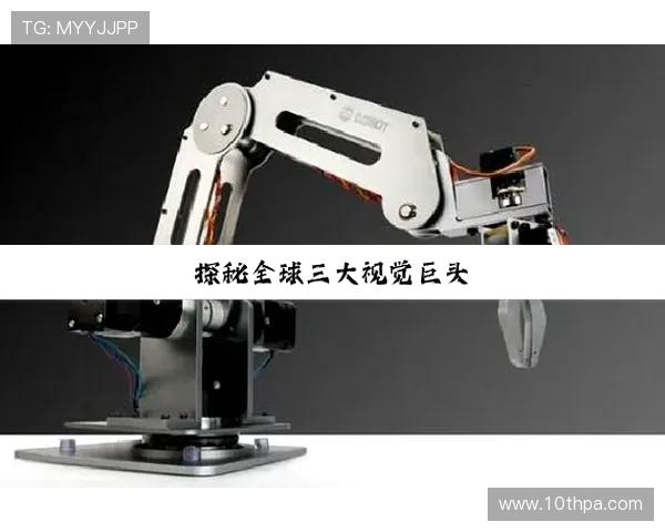 探索尊龙凯时网娱乐背后的精彩与魅力