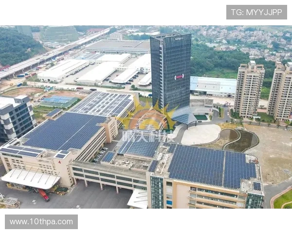 尊龙凯时集团全面解析其发展历程与行业地位,助你深入了解行业领军企业的核心竞争力